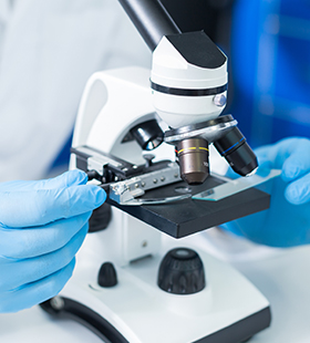 research skin disease image